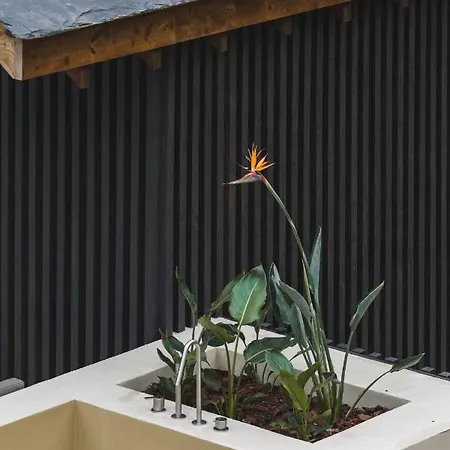 Rustic Complex *