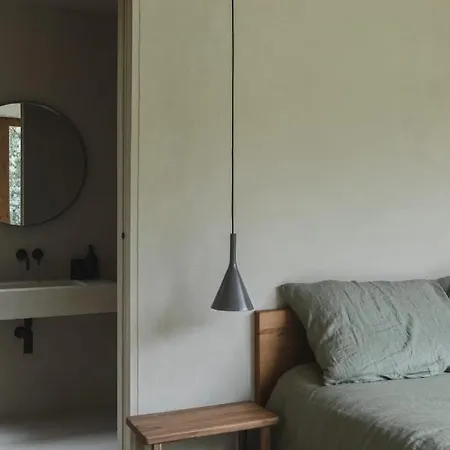 Rustic Complex Arouca